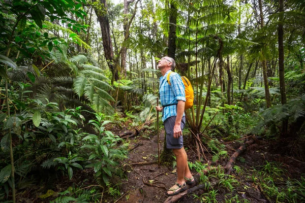 Wanderer Auf Dem Weg Den Grünen Dschungel Hawaii Usa — Stockfoto