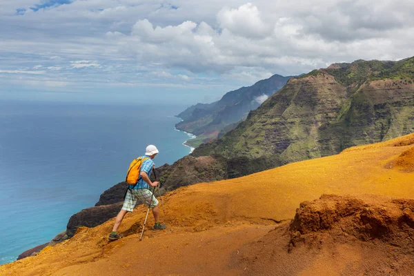 Pali Coast Içinde Kauai Icland Hawaii Zammı — Stok fotoğraf