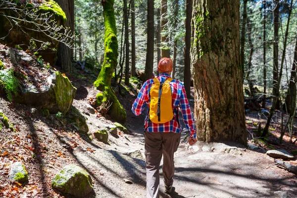 Homme Randonnée Baie Sentier Dans Forêt — Photo