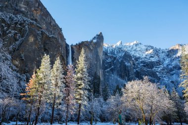 Güzel erken Bahar manzaraları Yosemite Milli Parkı'nda, Yosemite, ABD