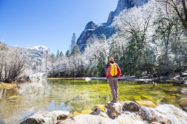 Güzel erken Bahar manzaraları Yosemite Milli Parkı'nda, Yosemite, ABD