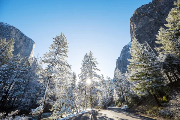 Lindas Paisagens Início Primavera Parque Nacional Yosemite Yosemite Eua — Fotografia de Stock