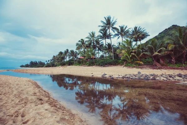 Increíble Paisaje Natural Playa Hawaiana — Foto de Stock