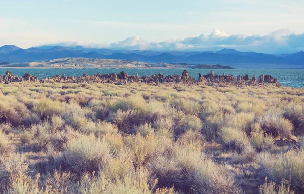 Mono Lago Formações Natureza Paisagem — Fotografia de Stock