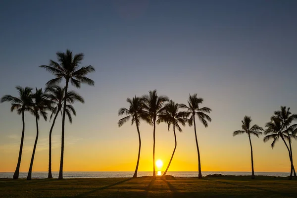 Serenità Sulla Spiaggia Tropicale — Foto Stock