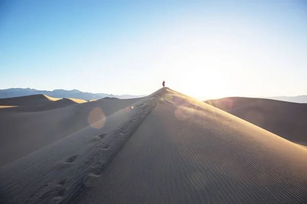Hombre Caminata Desierto Arena —  Fotos de Stock