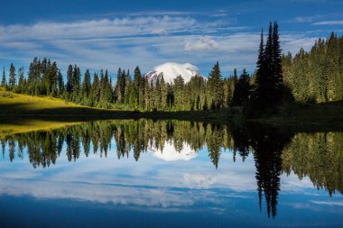 Mount Rainier Ulusal Parkı, Washington