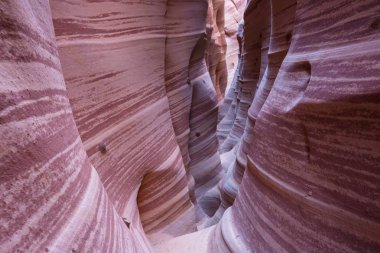 Utah, ABD 'deki Grand Staircase Escalante Ulusal Parkı' ndaki Slot Kanyonu. Utah çöllerindeki alışılmadık renkli kumtaşı oluşumları yürüyüşçüler için popülerdir. Canlı mercan tonu.