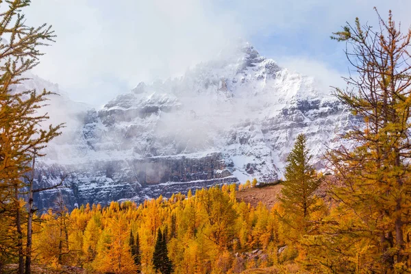 Beautiful Golden Larches Mountains Canada Fall Season — Stockfoto