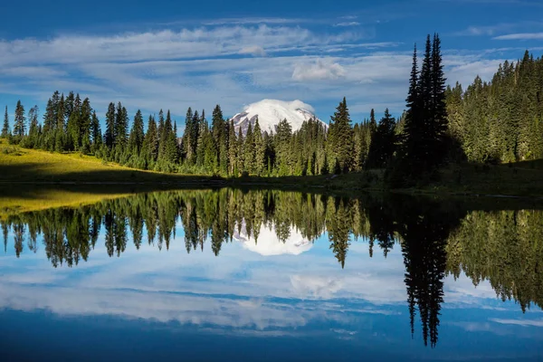 Národní Park Mount Rainier Washington — Stock fotografie