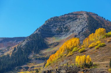 Colorado 'daki Dağ Manzarası Rocky Dağları, Colorado, ABD.