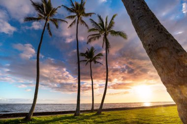 Harika bir gün batımında muhteşem Hawaii plajı. Güzel tatil geçmişi.
