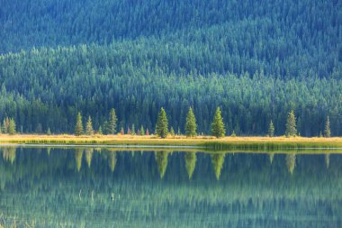 Kanada 'daki dağ gölünün sakin sularındaki kayaların yansımasıyla sakin bir manzara..