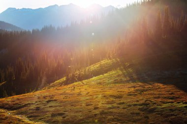 North Cascade Range, Washington / ABD 'de güzel bir dağ zirvesi.