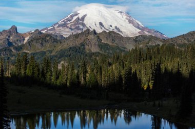 Mount Rainier Ulusal Parkı, Washington
