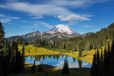 Mount Rainier Ulusal Parkı, Washington
