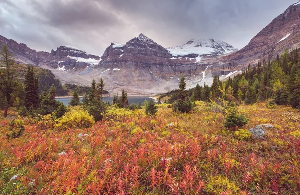 Hermosa Temporada Otoño Las Montañas Canadienses Fondo Caída —  Fotos de Stock