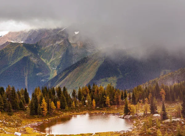 Beautiful Autumn Season Canadian Mountains Fall Background — Stock Photo, Image