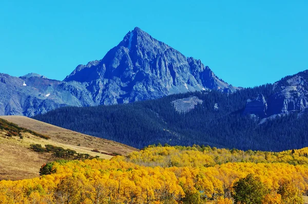 Kleurrijke Gele Herfst Colorado Verenigde Staten Herfstseizoen — Stockfoto