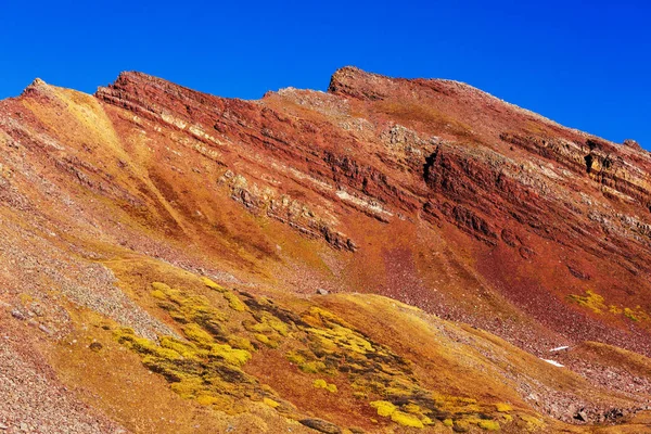Värikäs Keltainen Syksy Coloradossa Yhdysvalloissa Syyskausi — kuvapankkivalokuva