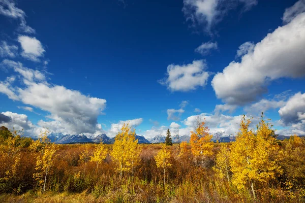 Ljusa Färger För Höstsäsongen Grand Teton National Park Wyoming Usa — Stockfoto