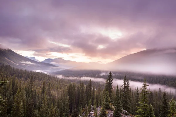 Dağlarda Güzel Bir Sabah Manzarası Gün Doğumunda Sis — Stok fotoğraf