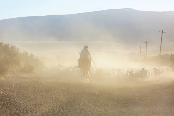 Gauchos Ahd Kawanan Kambing Pegunungan Patagonia Argentina — Stok Foto