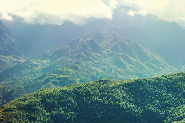 Montagnes Vertes Escarpées Vietnam — Photo
