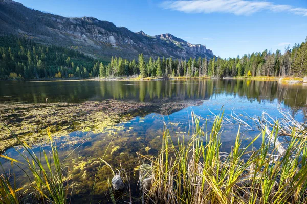 Yaz Mevsiminde Dağlarda Huzur Gölü Güzel Doğal Manzaralar — Stok fotoğraf