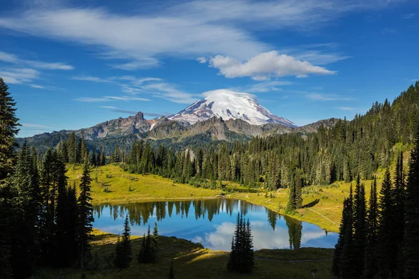 Εθνικό Πάρκο Mount Rainier Ουάσιγκτον — Φωτογραφία Αρχείου