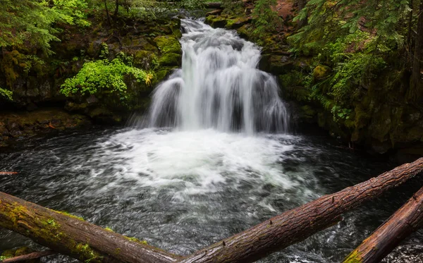 Vodopád Krásném Zeleném Lese — Stock fotografie