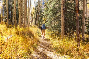 Sonbahar dağlarında yürüyüş. Sonbahar mevsimi teması.