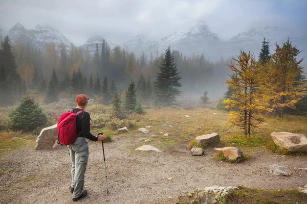 Vandra Höstfjällen Höstsäsongens Tema — Stockfoto