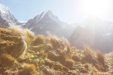 Cordillera Huayhuash, Peru, Güney Amerika 'daki güzel dağ manzaraları
