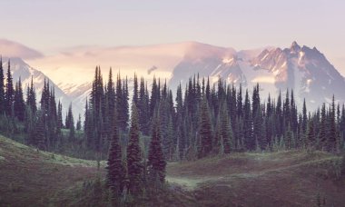North Cascade Range, Washington / ABD 'de güzel bir dağ zirvesi.