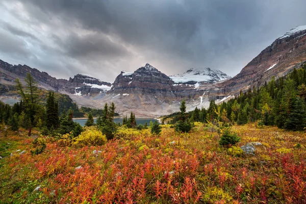 Hermosa Temporada Otoño Las Montañas Canadienses Fondo Caída — Foto de Stock