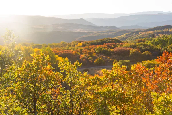 Colorido Otoño Amarillo Colorado Estados Unidos Temporada Otoño — Foto de Stock