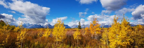 Heldere Kleuren Van Het Herfstseizoen Grand Teton National Park Wyoming — Stockfoto