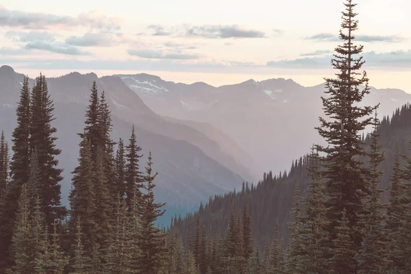 Hermoso Pico Montaña North Cascade Range Washington Estados Unidos — Foto de Stock