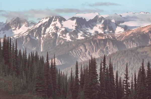 Belo Pico Montanha North Cascade Range Washington Eua — Fotografia de Stock