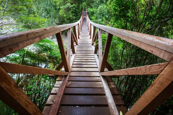 チリの緑のジャングルにある橋 — ストック写真