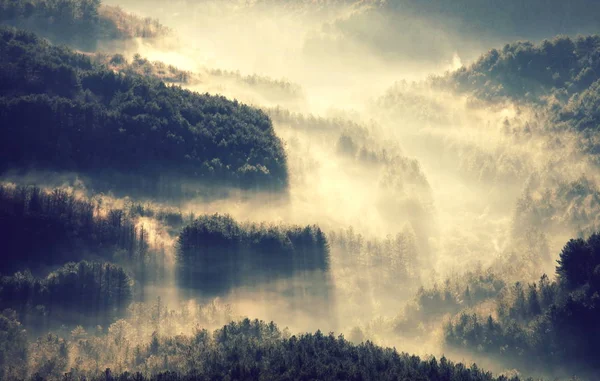 Magic Misty Forest Beautiful Natural Landscapes — Stock Photo, Image