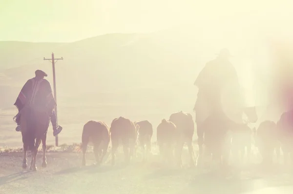 Gauchos Ahd Herd Goats Patagonia Mountains Argentina — Stock Photo, Image