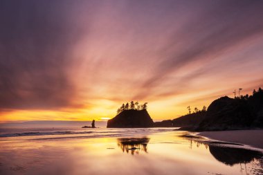 Washington, ABD Olimpiyat Ulusal Parkı 'ndaki manzaralı ve titiz Pasifik sahili. Okyanustaki kayalar ve sahildeki büyük kütükler..