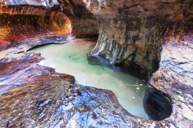 Narrows yuvası Kanyon, Zion National Park, Utah, Amerika