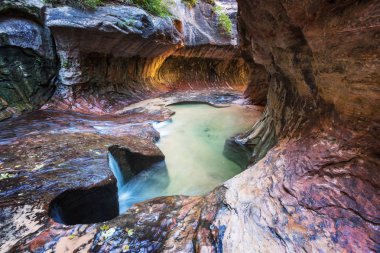 Narrows yuvası Kanyon, Zion National Park, Utah, Amerika