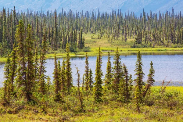 Sereniteit Meer Alaska Toendra — Stockfoto