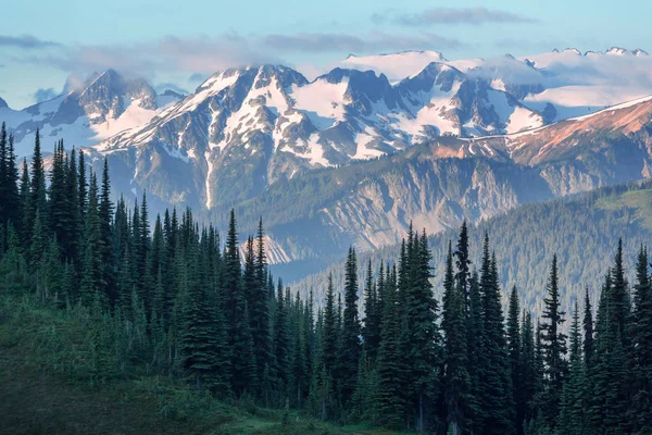 Prachtige Bergtop North Cascade Range Washington Verenigde Staten — Stockfoto