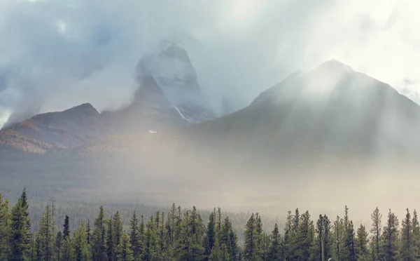 Γραφική Θέα Στο Βουνό Στο Canadian Rockies Κατά Θερινή Περίοδο — Φωτογραφία Αρχείου