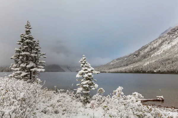 Early Winter First Snow Covering Rocks Woods Glacier National Park — Stock Photo, Image